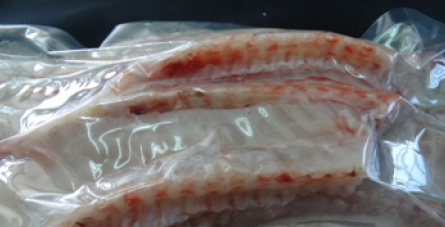 巧匠台灣鯛魚骨