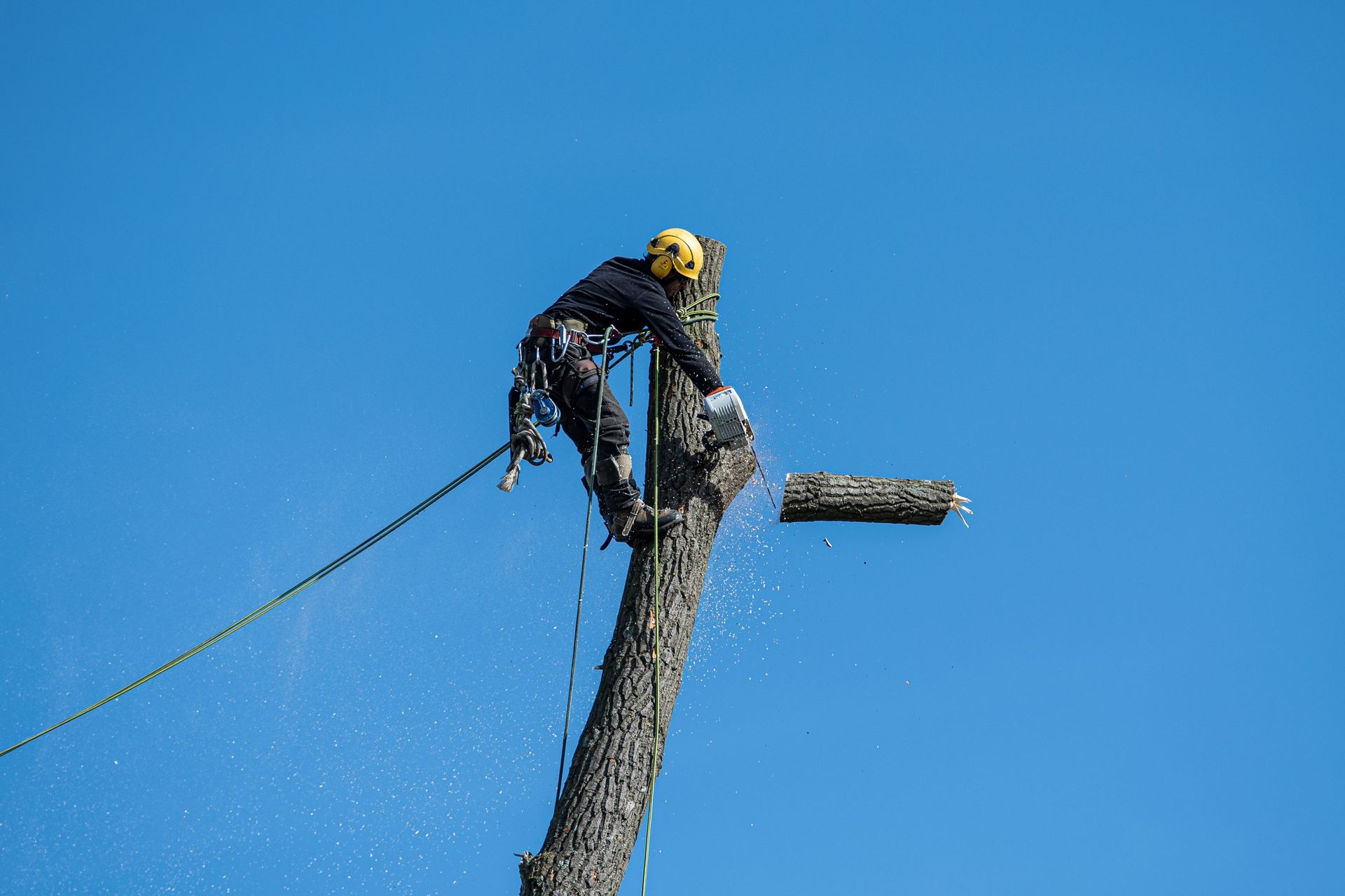Worker climbing a utility pole against a clear blue sky