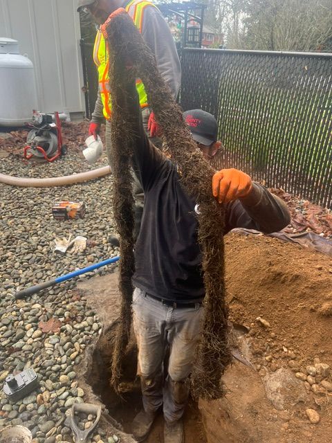 Two workers in an outdoor, dirt-filled area hold up a long, thick mass of roots pulled from a plumbing pipe.