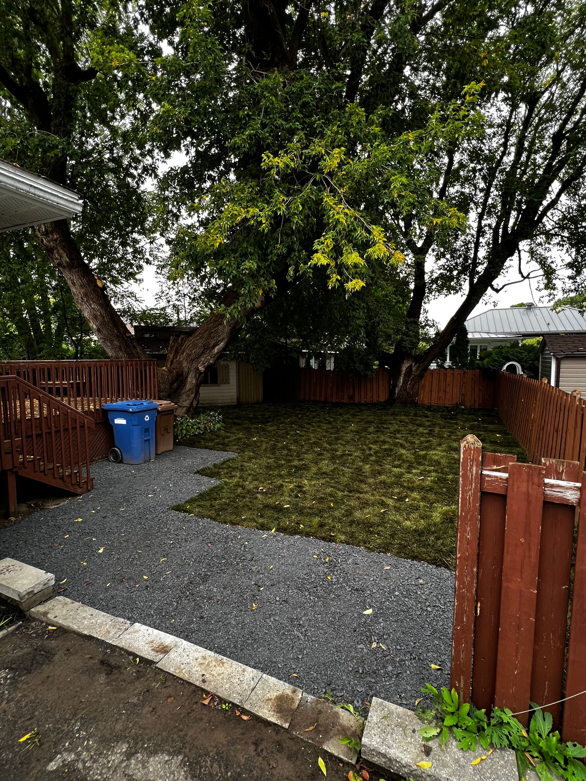 Une cour arrière avec une clôture en bois et un grand arbre.