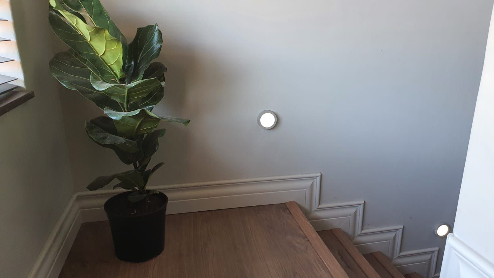 A potted plant is sitting on top of a wooden staircase.