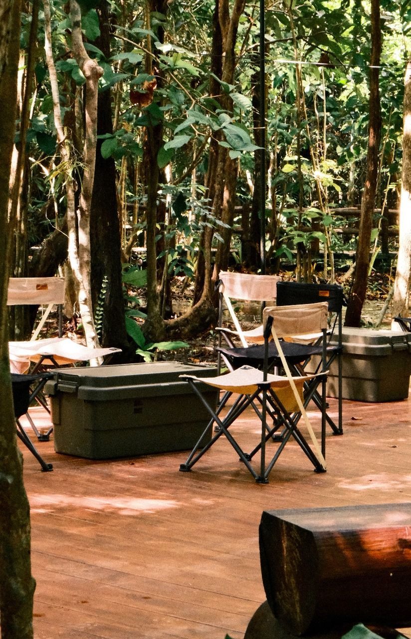 A group of folding chairs are sitting in the middle of a forest.