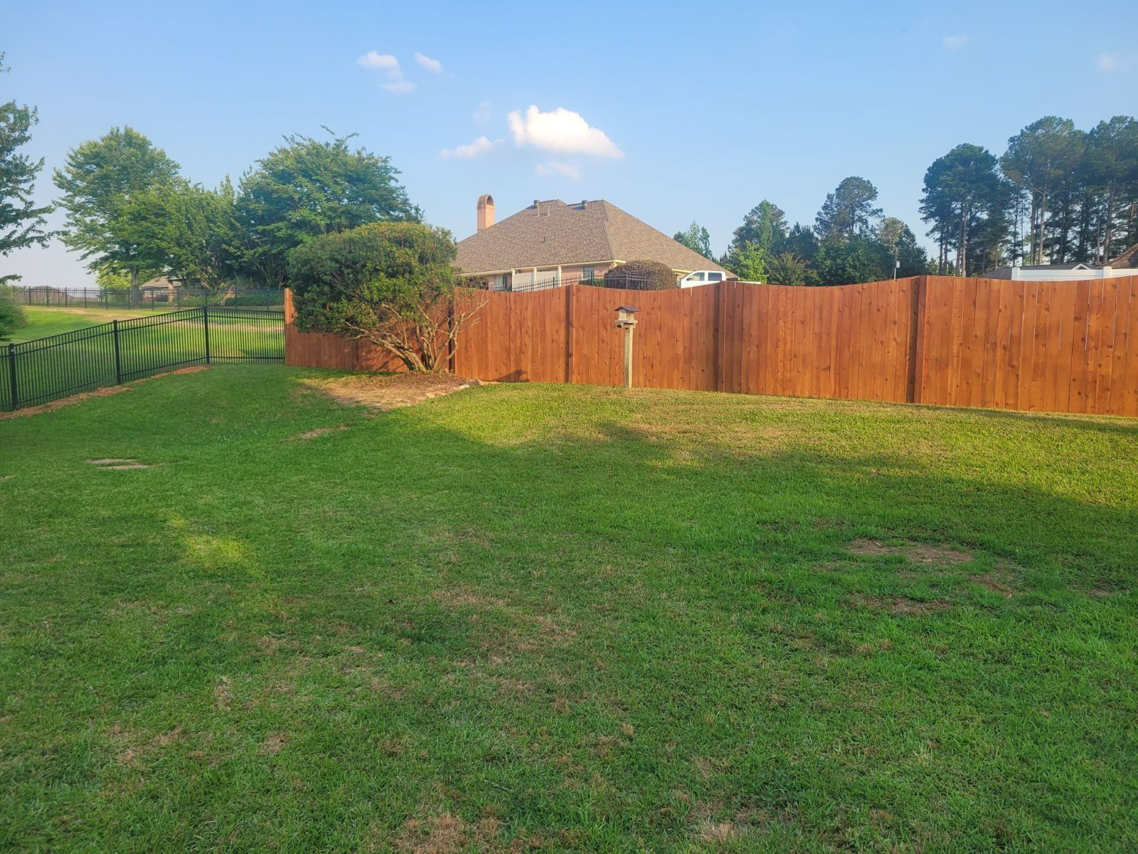 A backyard with a wooden fence and a house in the background.