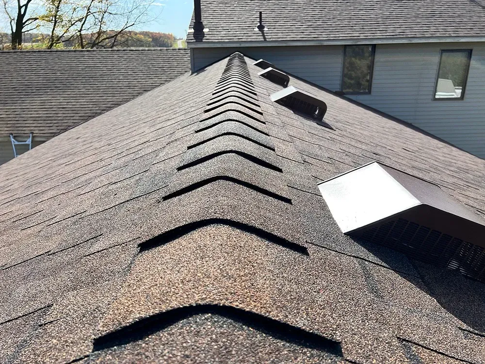 A close up of a roof with a tree in the background
