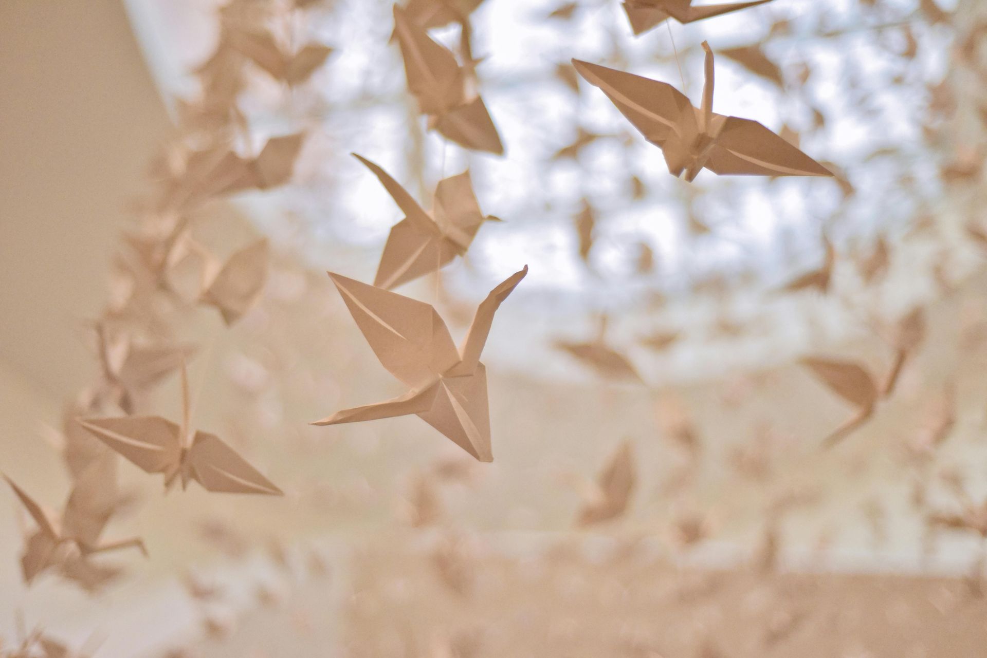 Origami paper cranes, light tan, suspended in a soft-focus setting.