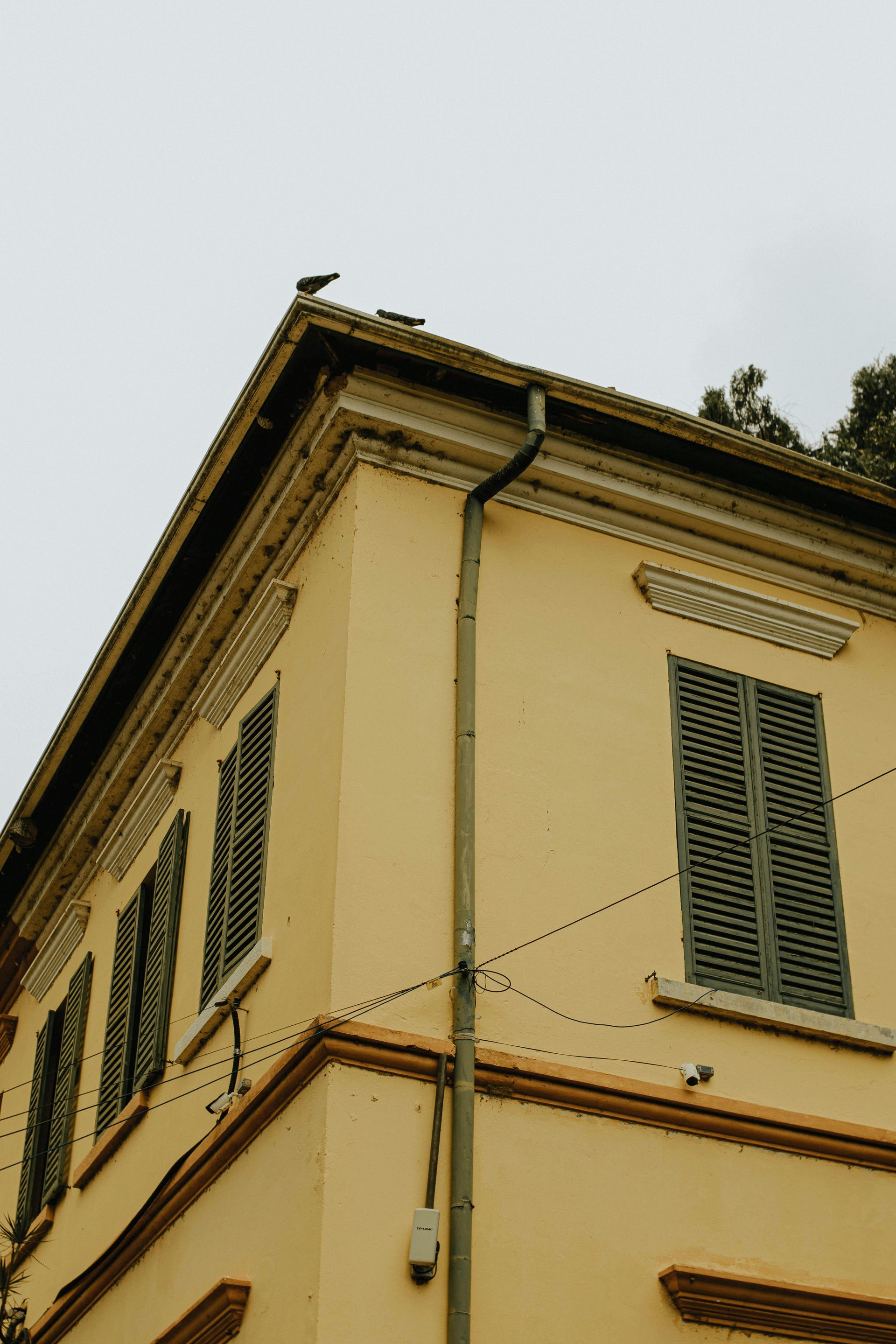 Dark tiled roof with a central turret, golden finial, and overcast sky.