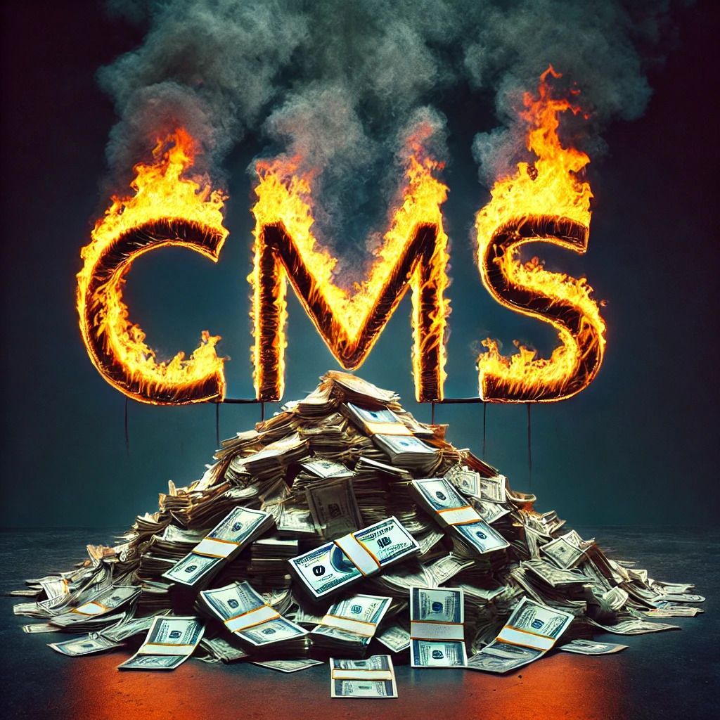 DOGE and CMS,DOGE audits CMS