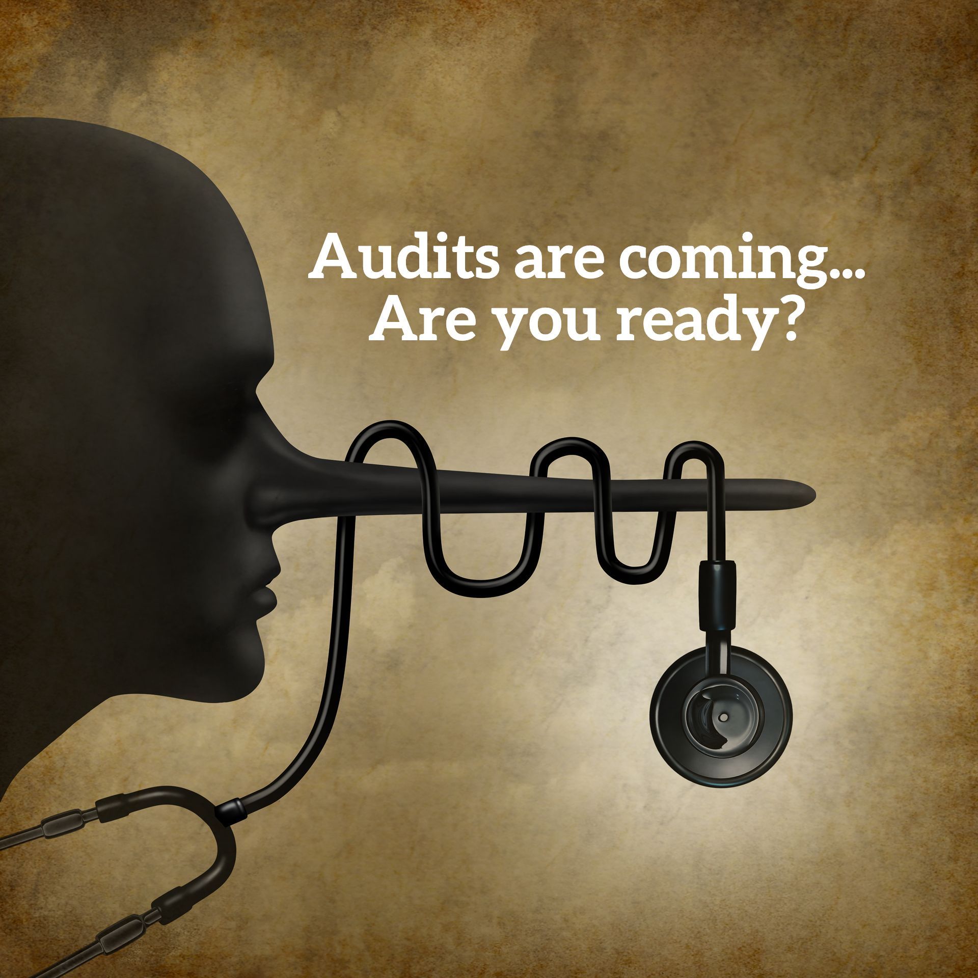 oig audit,oig audit process