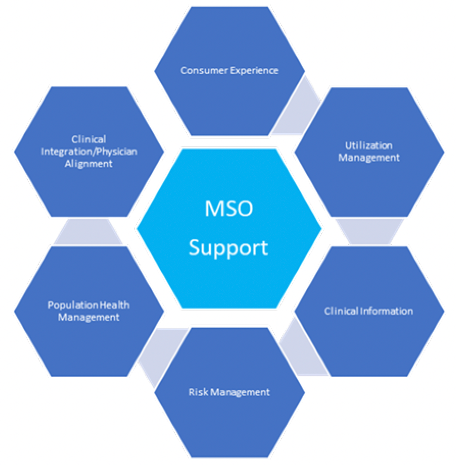 what is an mso,mso definition,mso healthcare definition,