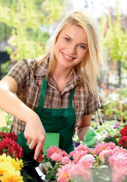 Confezioni di fiori freschi