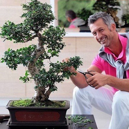 Bonsai vivaio valpescara garden