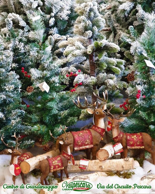 Idea regalo di Natale