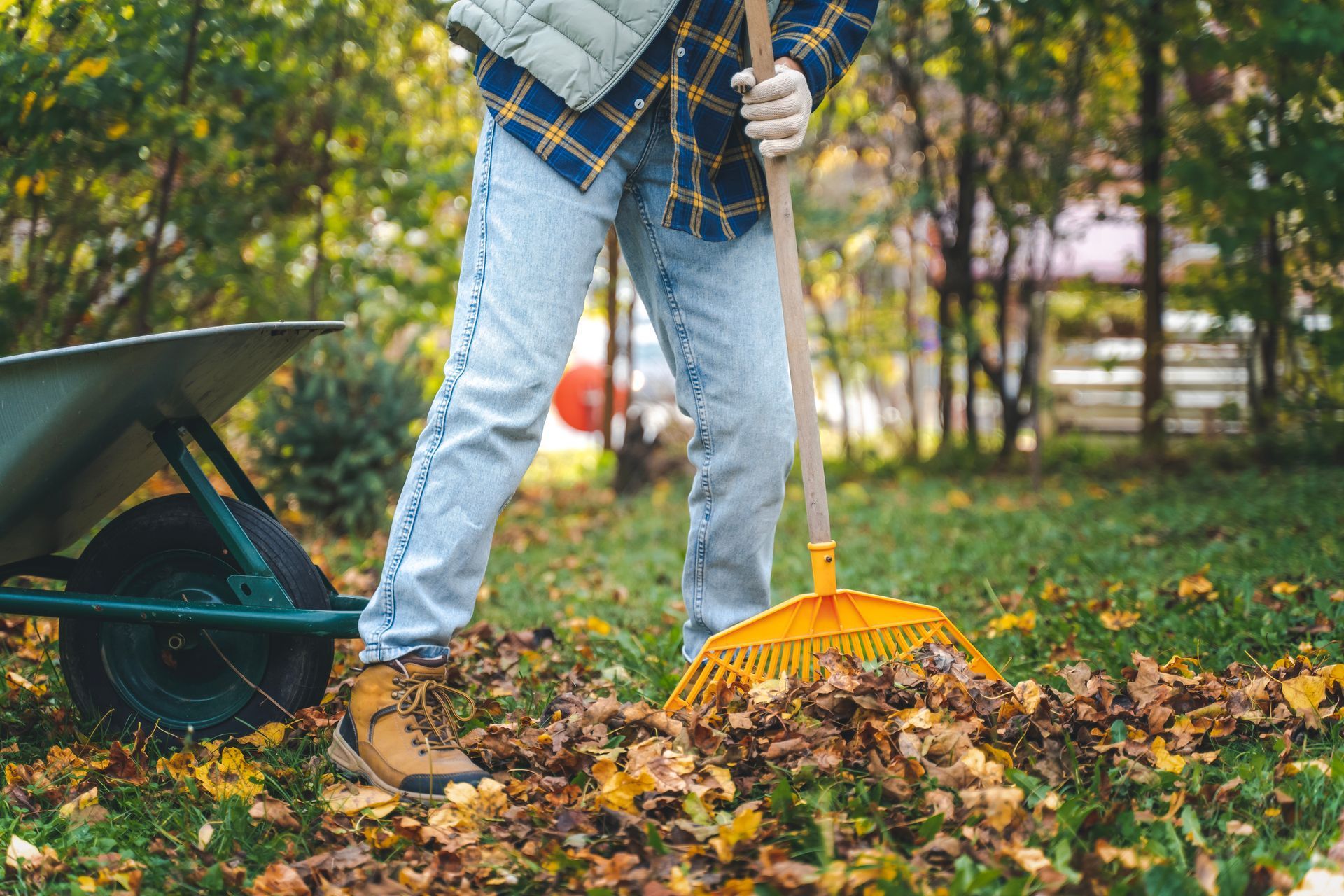 Residential Seasonal Cleanup Services