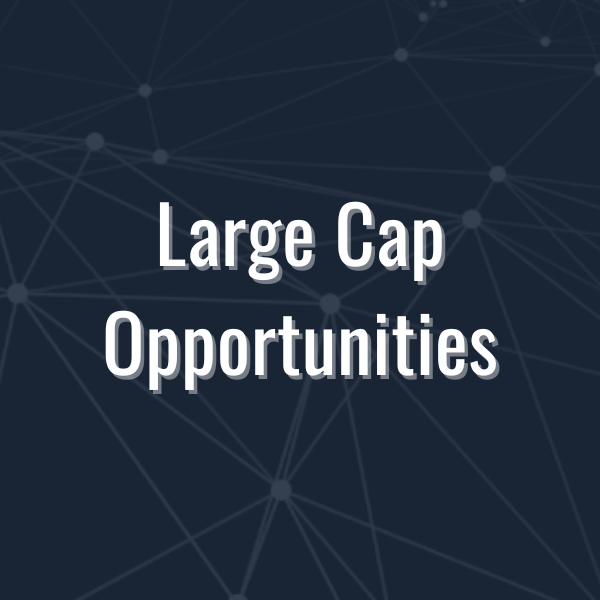 AIQ Large Cap Opportunities