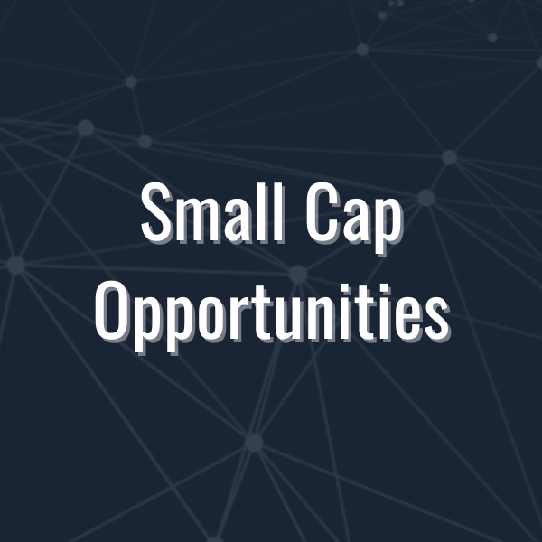 Small Cap Opportunities