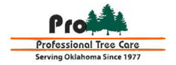 Professional Tree Care