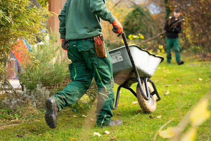 Two gardeners pushing wheelbarrows and tending a leafy garden path