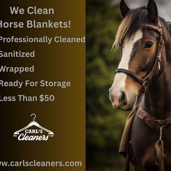Carl's Cleaners photo 6
