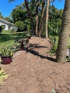 White skid steer with grapple arm feeding tree limbs into a yellow wood chipper in a wooded area.