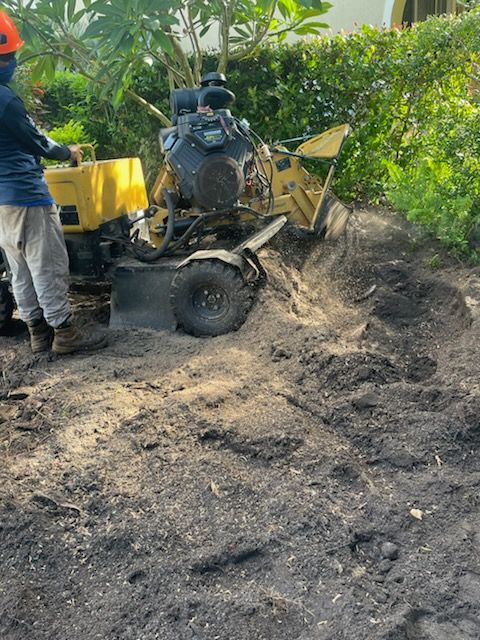 Person with black gloves using a red and white STIHL chainsaw to cut a tree trunk.