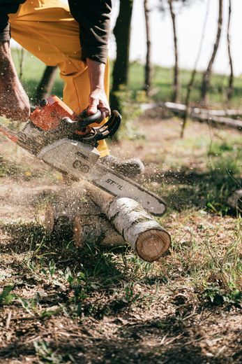 Person in yellow pants using a chainsaw to cut a log in a grassy area with trees in the background.