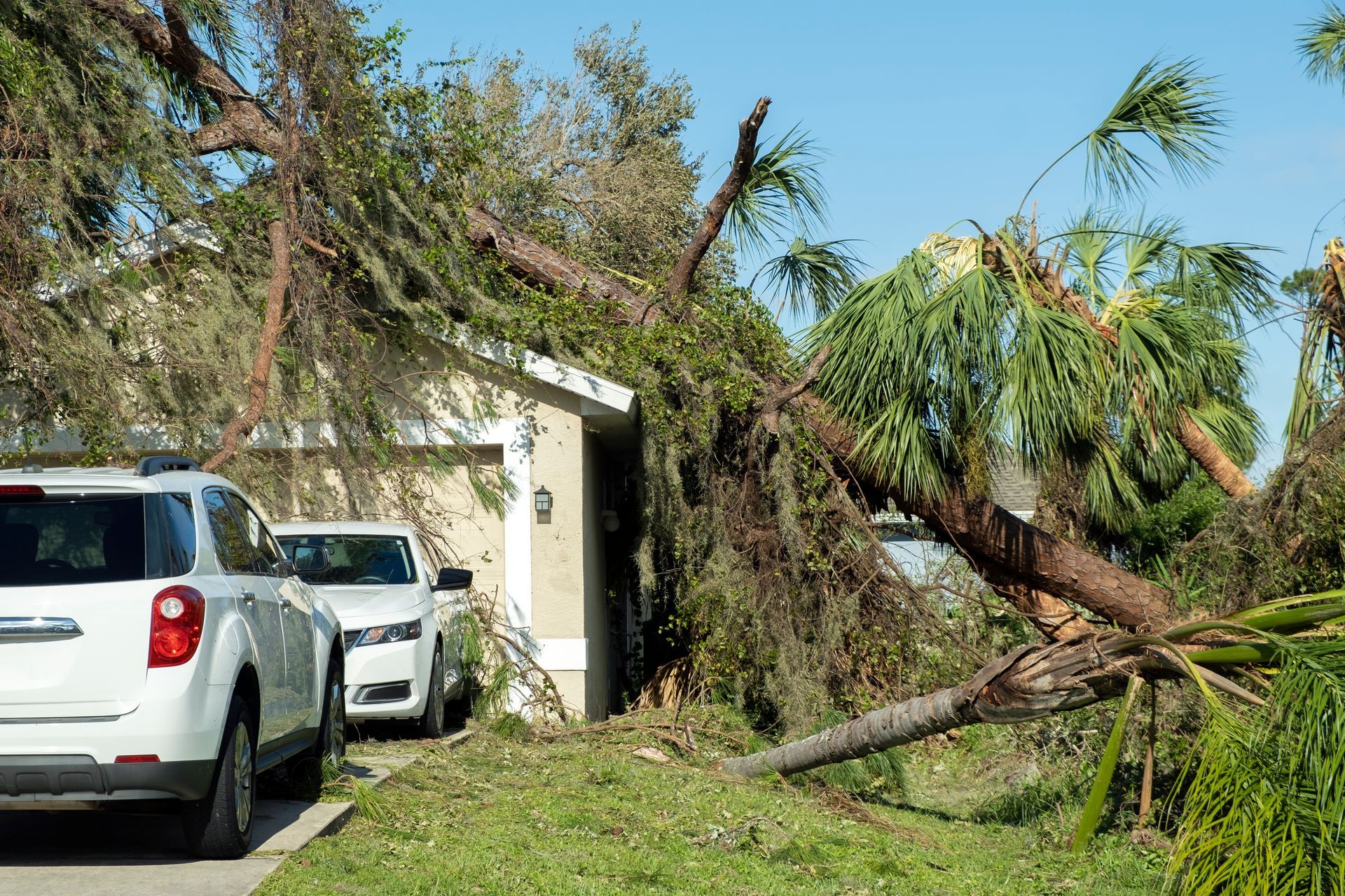 Fallen tree on house, white cars in driveway, blue sky.