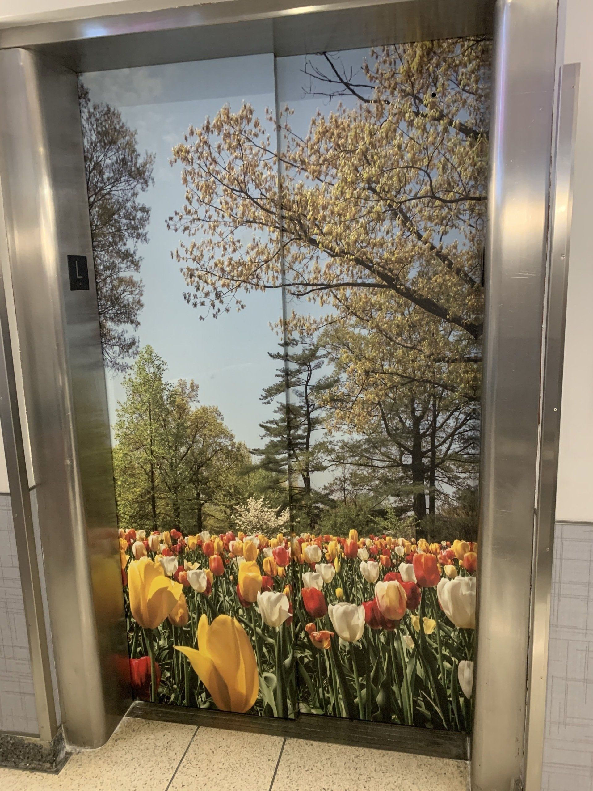 An elevator with a picture of flowers on the door