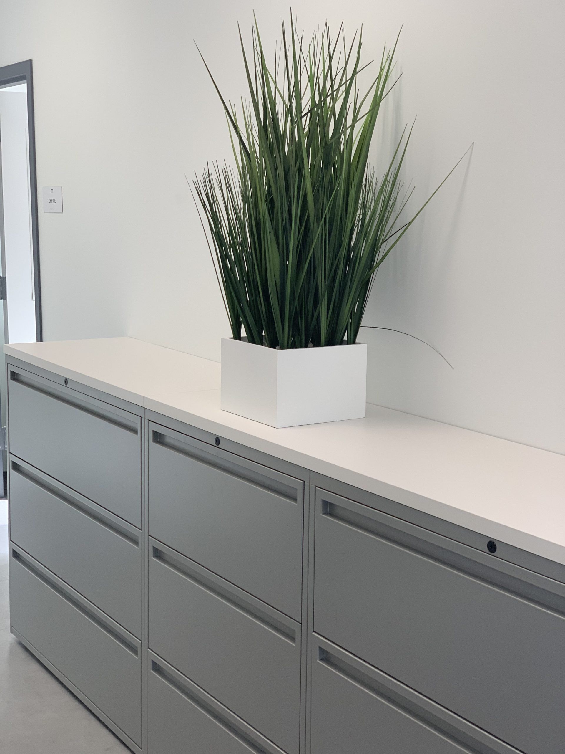 A potted plant is sitting on top of a dresser.