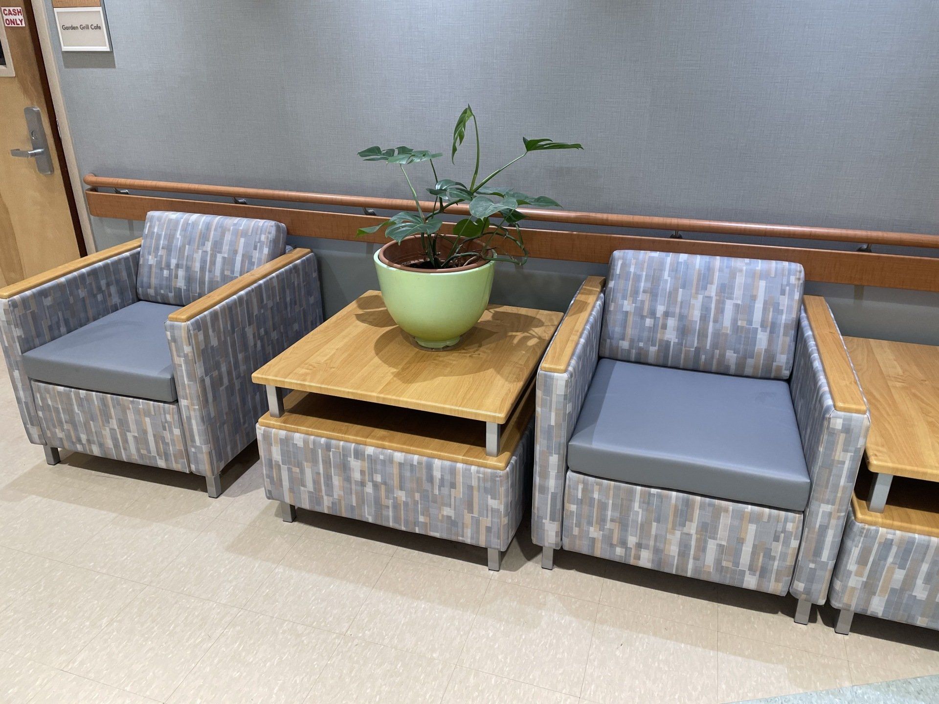 A row of chairs and tables with a potted plant on one of them.