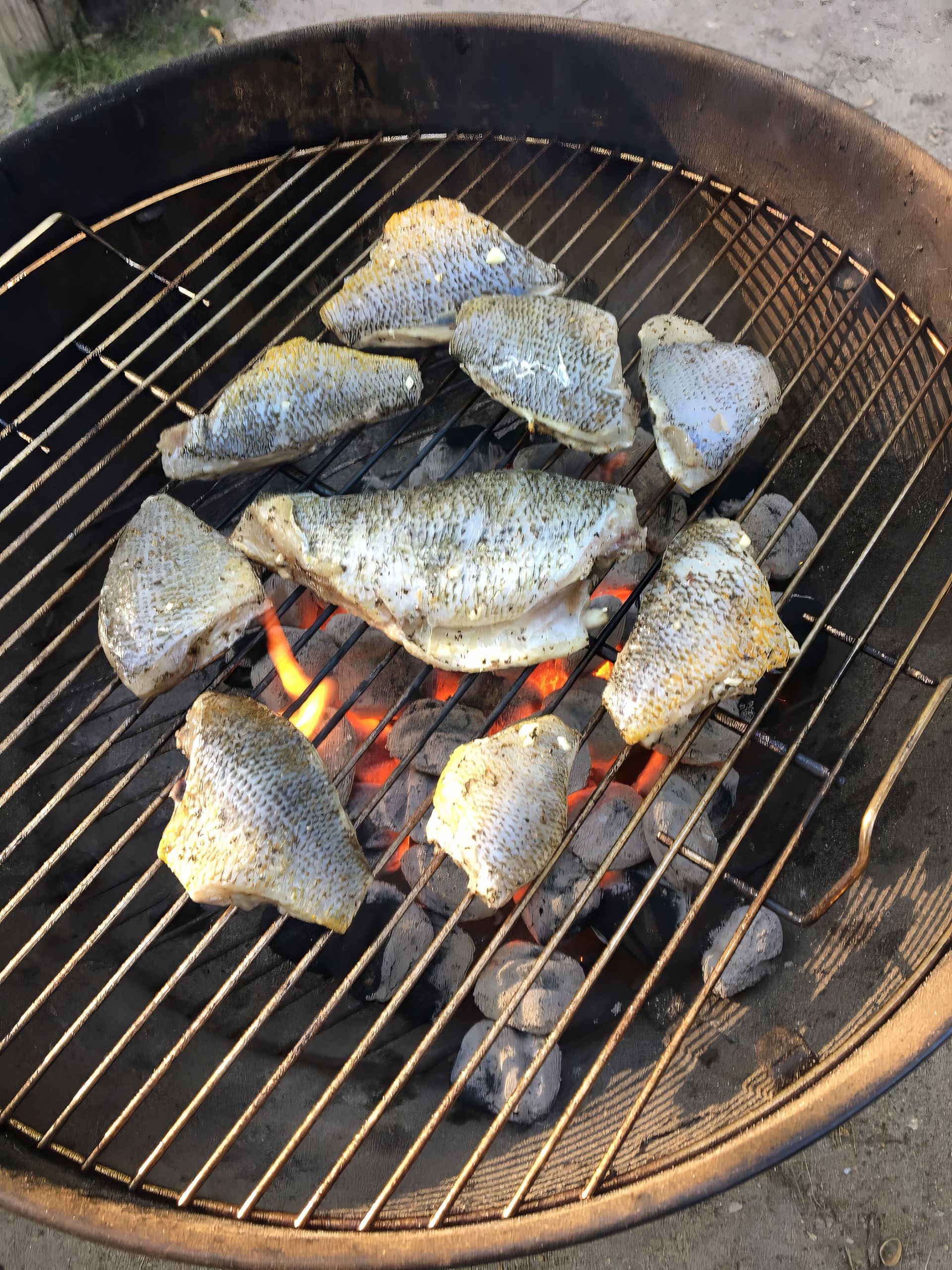 Fish is being cooked on a grill over coals