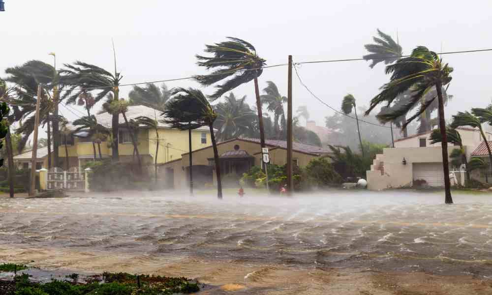 Several houses with palm trees out front are being bombarded with high winds. The streets are floode