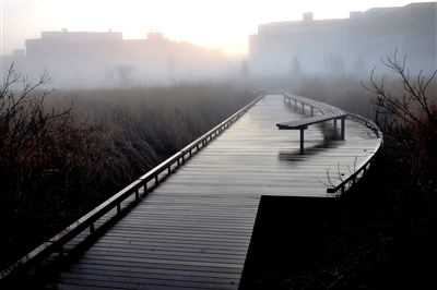 Boardwalk at the Arboretum - Commercial Property in State College, PA