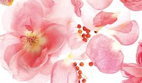 rozenolie bindweefselmassage