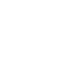 logo studio commerciale carisi stefano