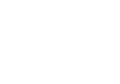 logo studio commerciale carisi stefano