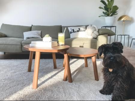 Living room with green sofa, wooden tables, dog, and plant.