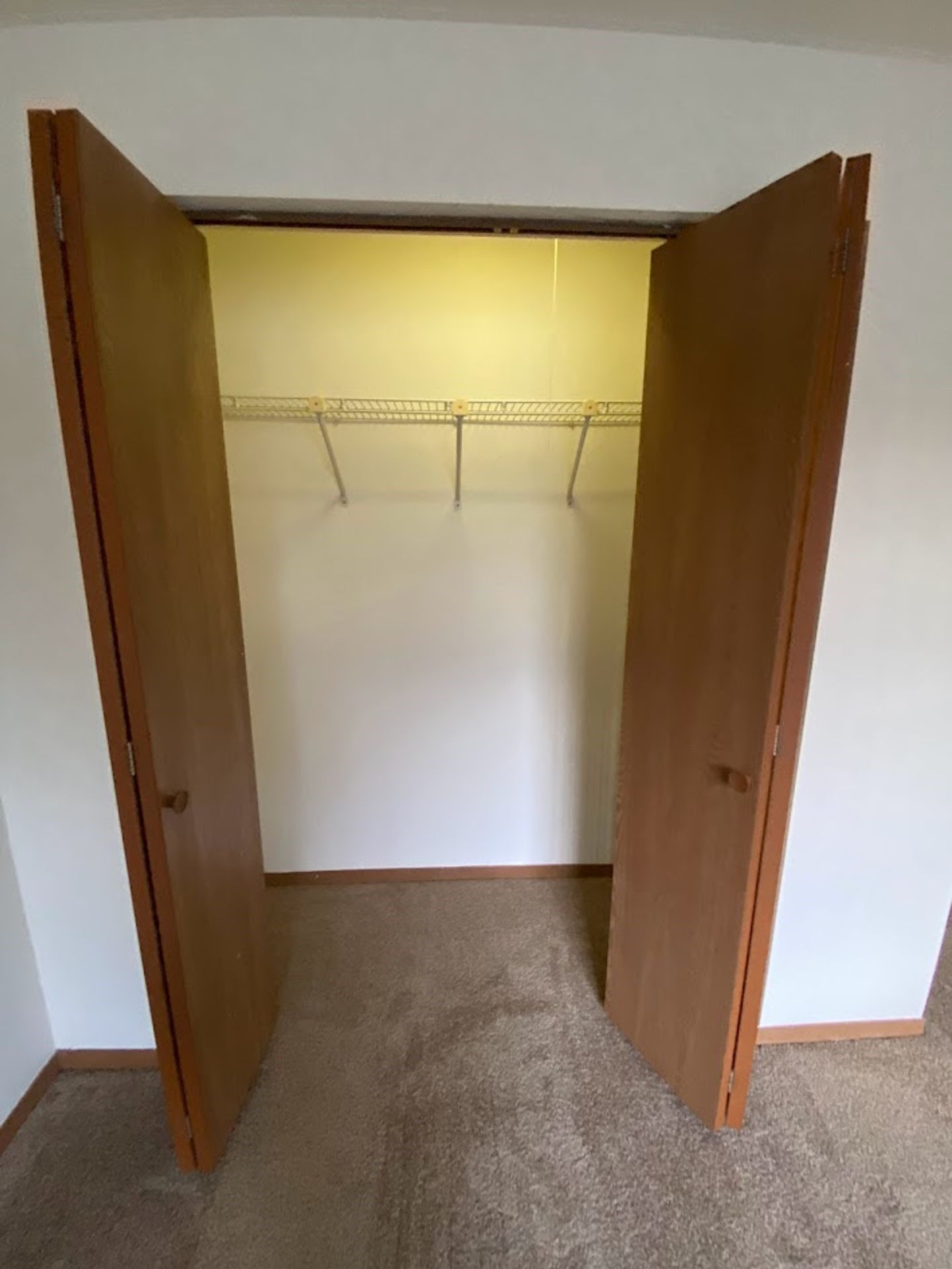 An empty walk in closet with wooden doors and a carpeted floor.