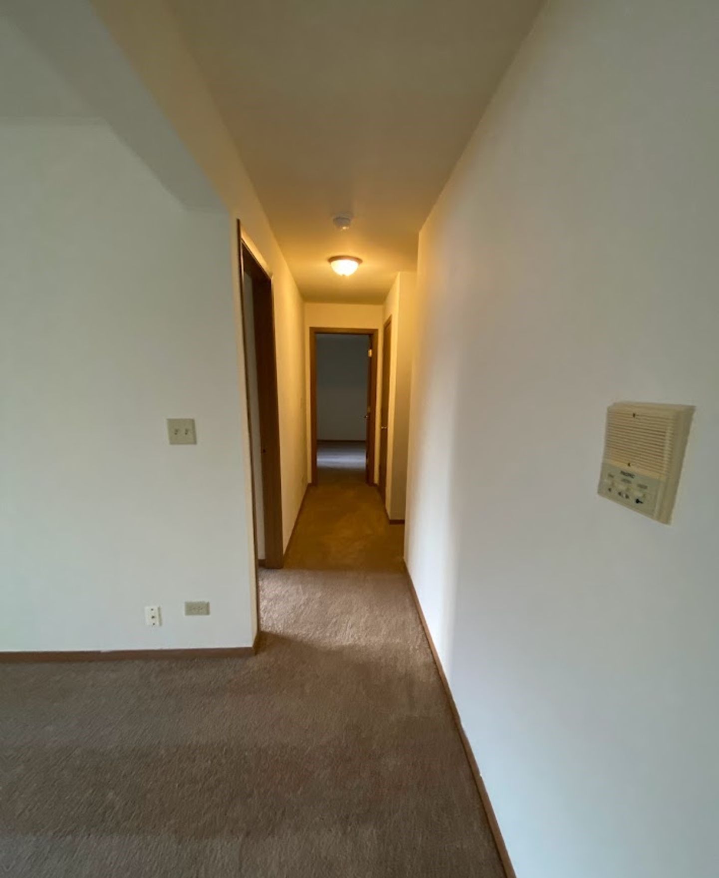 An empty hallway with white walls and brown carpet