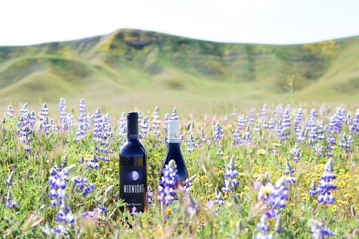 Two bottles of wine stand in a field of purple lupine flowers, with rolling green hills in the background.