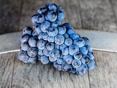 A cluster of dark blue, round grapes resting on the rustic wooden surface of a wine barrel.