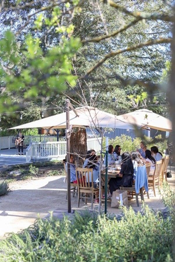 A group of people sits at an outdoor table under large umbrellas in a park setting, surrounded by trees and greenery.