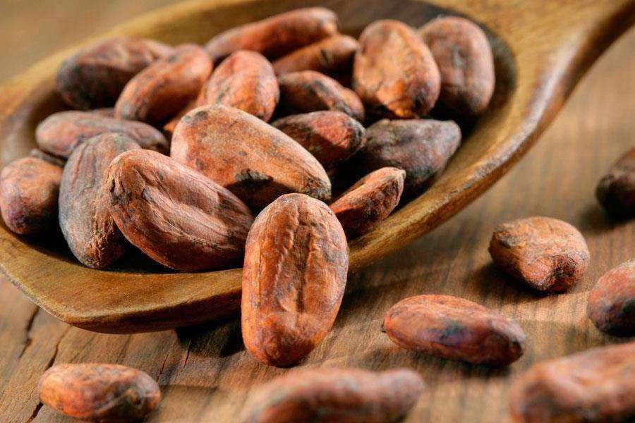 Granos de cacao en una cuchara de madera sobre una superficie de madera.