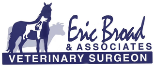 Eric Broad & Associates Veterinary Surgeon