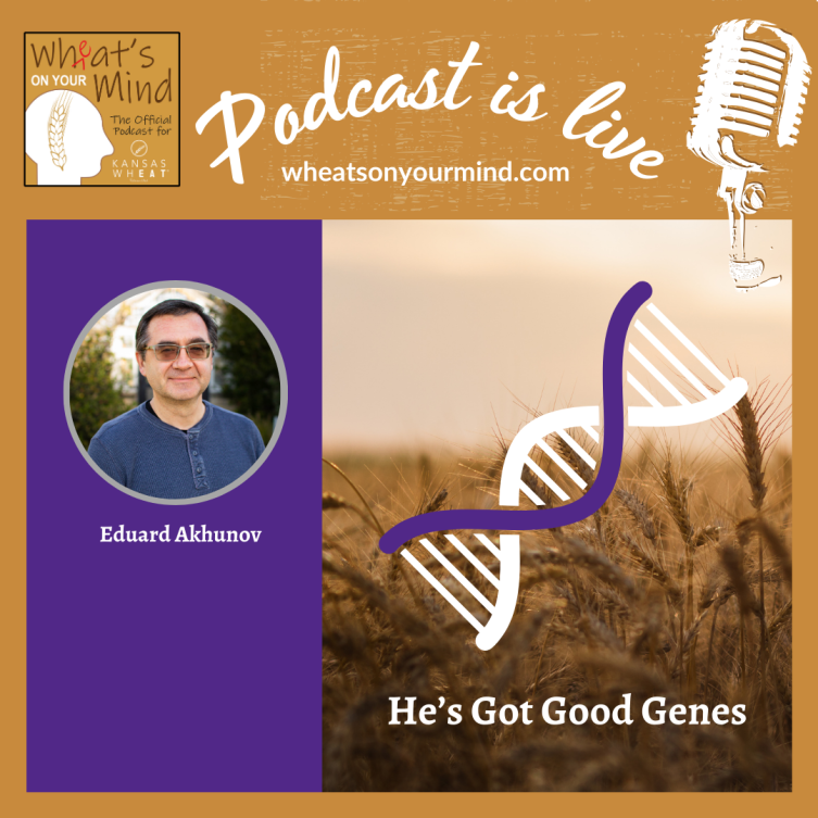 A poster for a podcast called he 's got good genes
podcast for kansas wheat agriculture