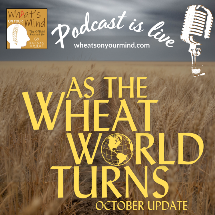 An advertisement for a podcast called as the wheat world turns
podcast for kansas wheat agriculture