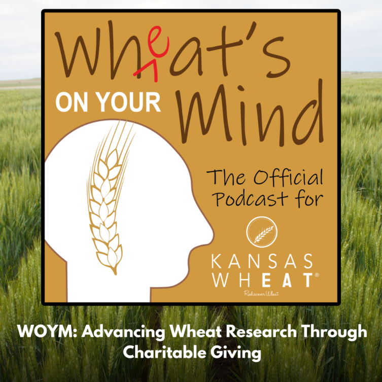 Wheat 's on your mind is the official podcast for Kansas wheat
podcast for kansas wheat agriculture