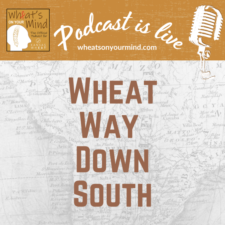 A poster that says podcast is live wheat way down south
podcast for kansas wheat agriculture