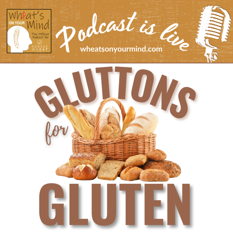 A podcast is live about gluttons for gluten
podcast for kansas wheat agriculture