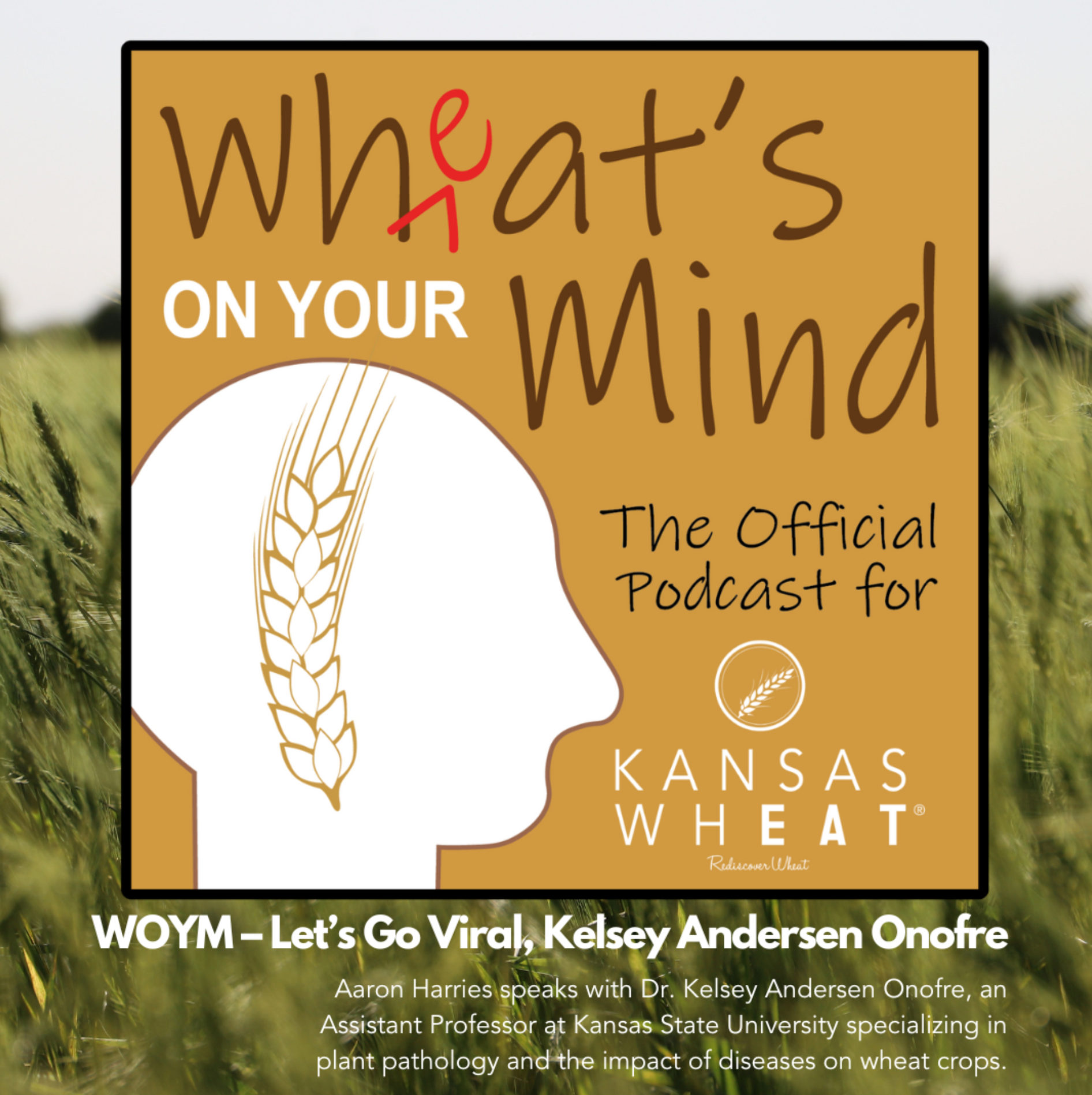 Wheat 's on your mind is the official podcast for Kansas wheat
podcast for kansas wheat agriculture