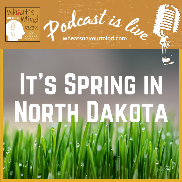 A poster that says it 's spring in north dakota
podcast for kansas wheat agriculture